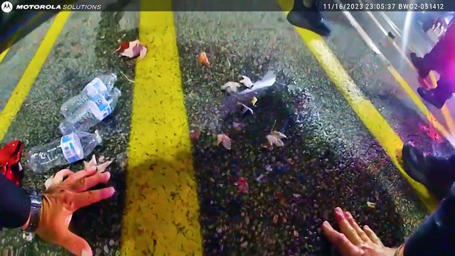 Pepper Spraying Cops Never Ends Well