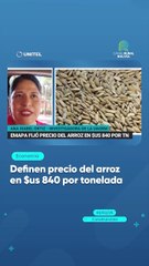Definen precio del arroz en $us 840 por tonelada