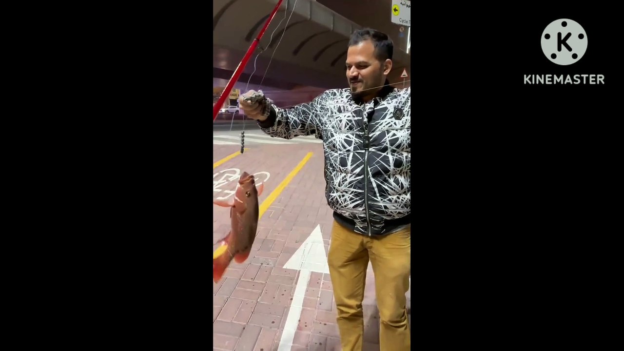 #redsnepper#new#latest#video#fishing#fish@fishingwithnigel777