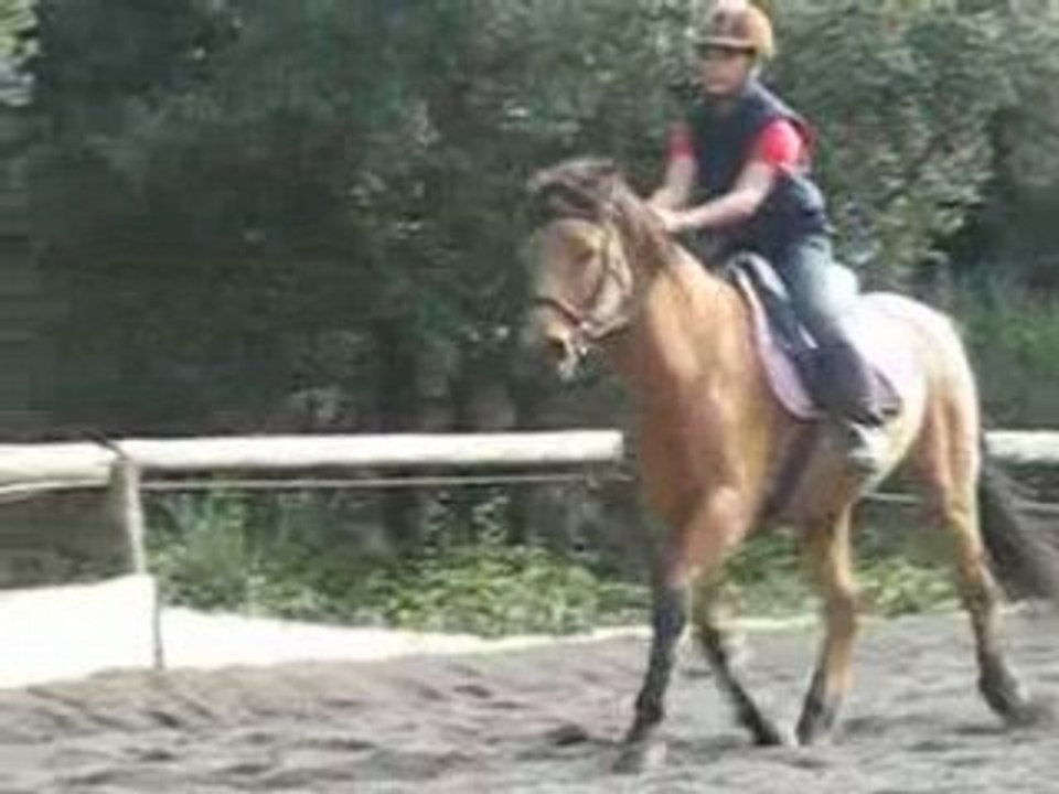 Stage (6)