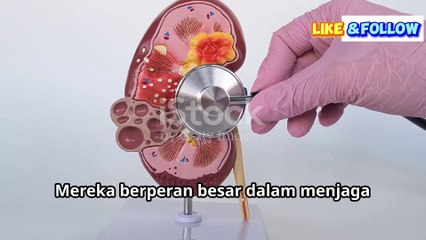 Hati-Hati! Tanda-tanda Awal Penyakit Ginjal Kronis