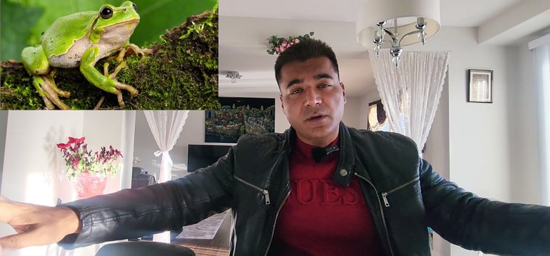 Social Media Online Jobs Word Excel PowerPoint Computer Basics Only These Skills of Today Youngsters