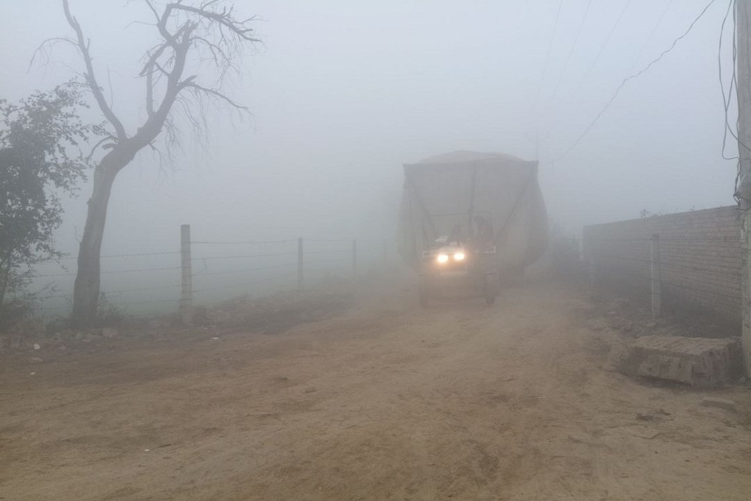 Rajasthan Weather :  गुलाबी नगर में गुलाबी सर्दी, मौसम का मिजाज नरम-गरम