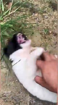 Just keep teasing people🤪