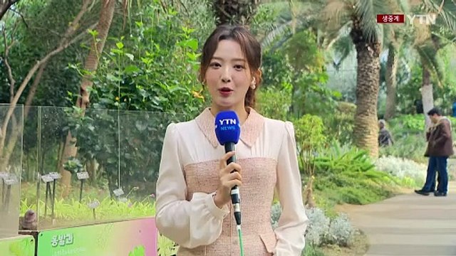 벌써 '입춘'...꽃 보러 식물원 온실로 가벼운 나들이 / YTN