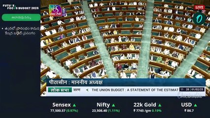 బడ్జెట్ పై నిర్మలమ్మ కంటతడి పెట్టుకుందా..! | Union Budget 2025 | Oneindia Telugu