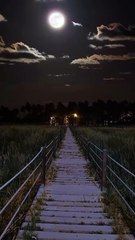 Nature Video for nature lovers