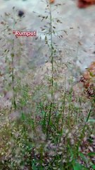 Kamu hebat bisa bertahan. Tetaplah kuat