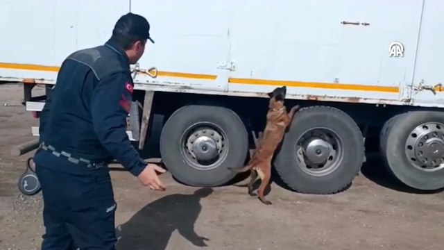 Kırıkkale'de kaçak 1 ton 105 kilogram tütün ve 909 paket sigara ele geçirildi