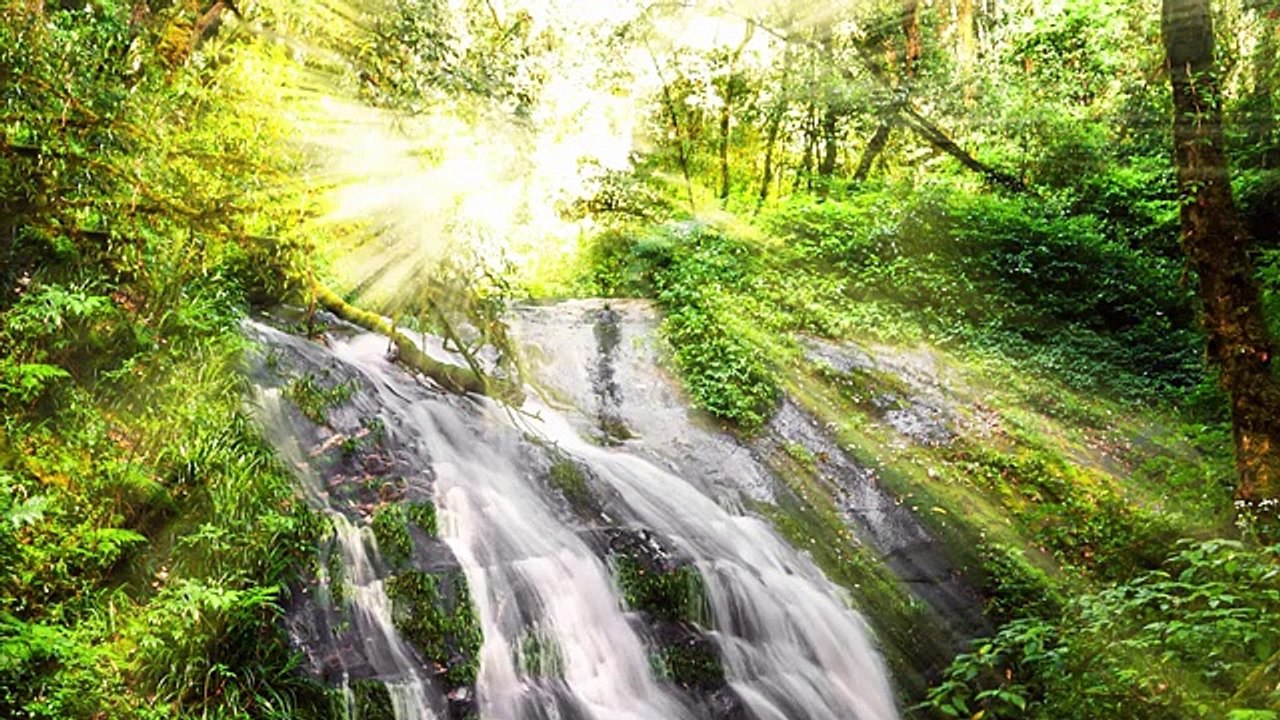 1 HEURE de Musique Relaxante | Berceuse Magique | Fond pour Massage, Spa, Sommeil, Étude, Détente