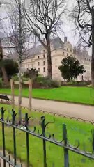 On visite le décor du défilé Dior !