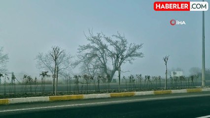 Tekirdağ'da Yoğun Sis Hayatı Olumsuz Etkiliyor