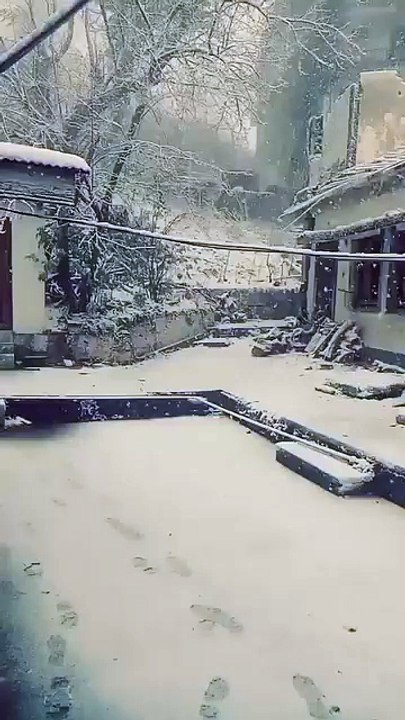 SNOW FALL 2025