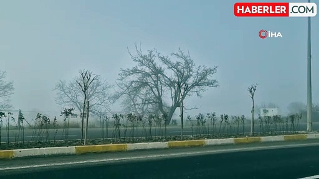 Tekirdağ'da Yoğun Sis Hayatı Olumsuz Etkiliyor