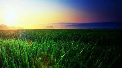 Une musique relaxante pour soulager le stress. Musique curative au piano pour la médiation