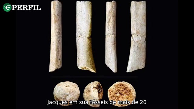 Descobertas incríveis: Fóssil humano japonês, dinossauro egípcio e mistério dos anéis australianos revelados!