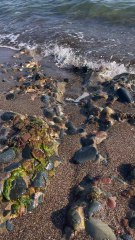 مشتاقين البحر، صوت الأمواج يهدئ الروح