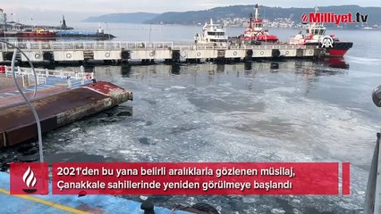Kabus yeniden hortladı! Çanakkale sahillerinde görüldü