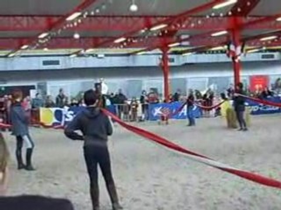 20080408_9