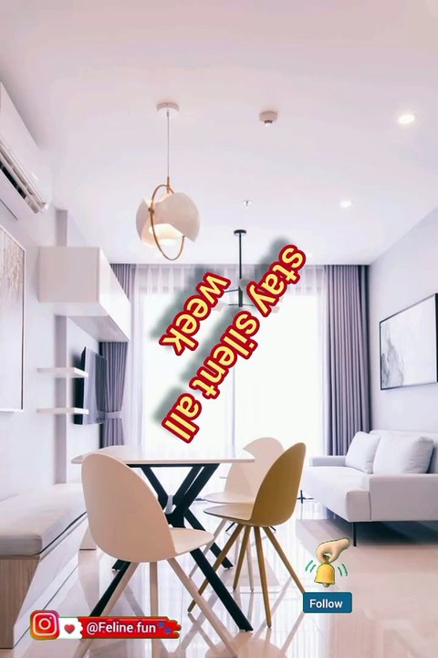 Funny cat videos 😂 valentine's day