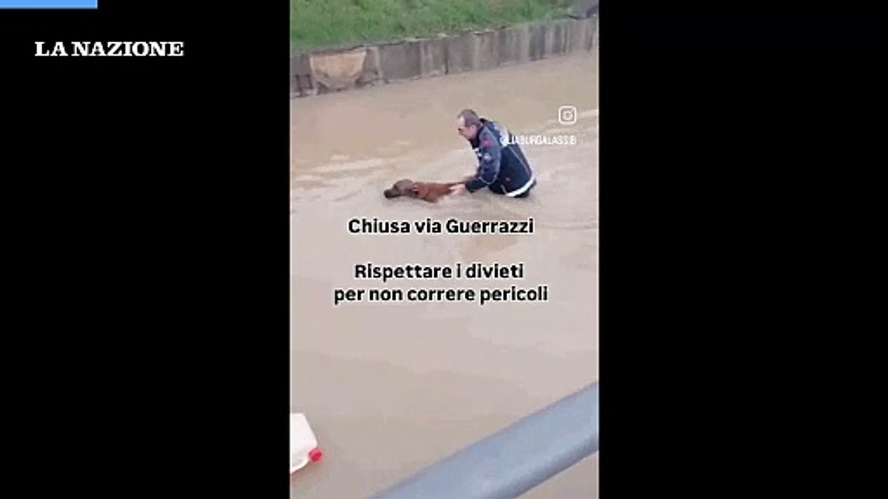 Cecina, la strada diventa un fiume: salvato un uomo e il suo cane