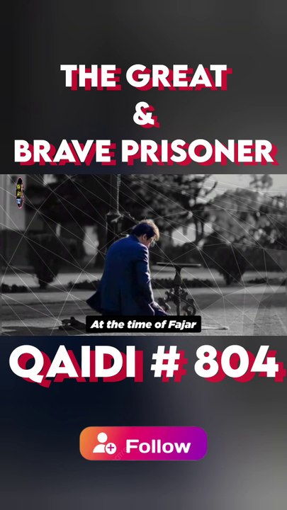 Qaidi # 804
