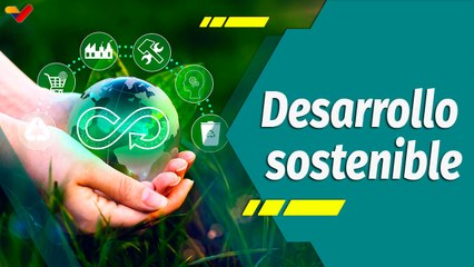 Punto Verde | De manos venezolanas para el crecimiento nacional