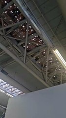 Tormenta de granizo en Bahía Blanca