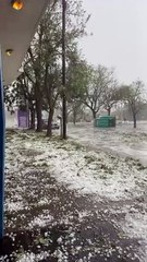 Feroz granizada en Bahía Blanca