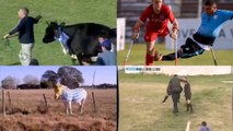 Comienza la liga uruguaya y han publicado una recopilación de sus momentos más surrealistas... ¡Tremendo!