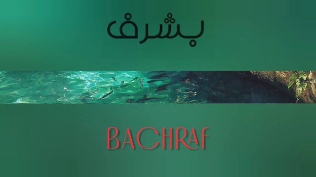 🎶 BACHRAF - oriental ambient oud - Composer and performer : HUSSEIN ELMASRY