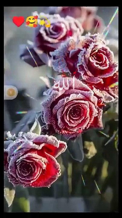 Allah Allah Allah Zikar Karo