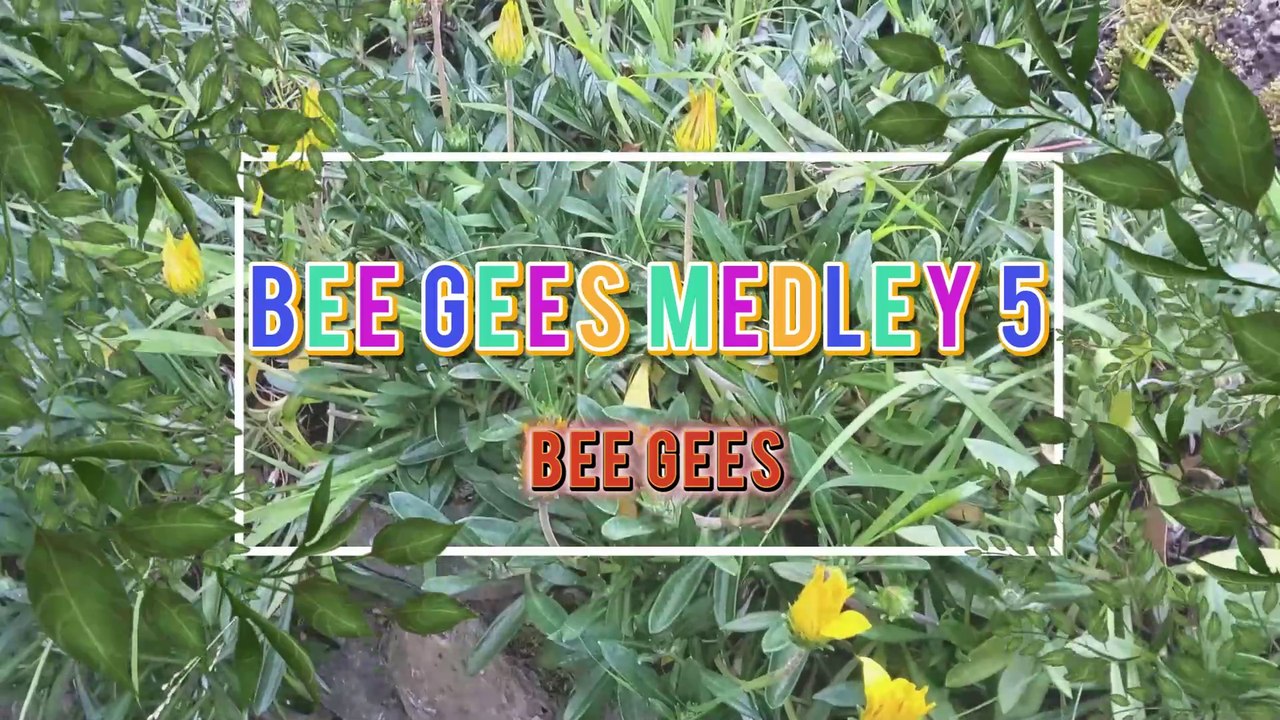Bee Gees Medley 5 Video Karaoke