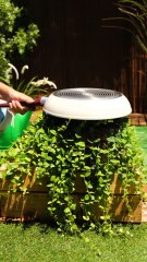 Unexpected uses of kitchen items!