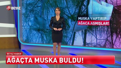 Beyaz Ana Haber 1 Şubat 2025