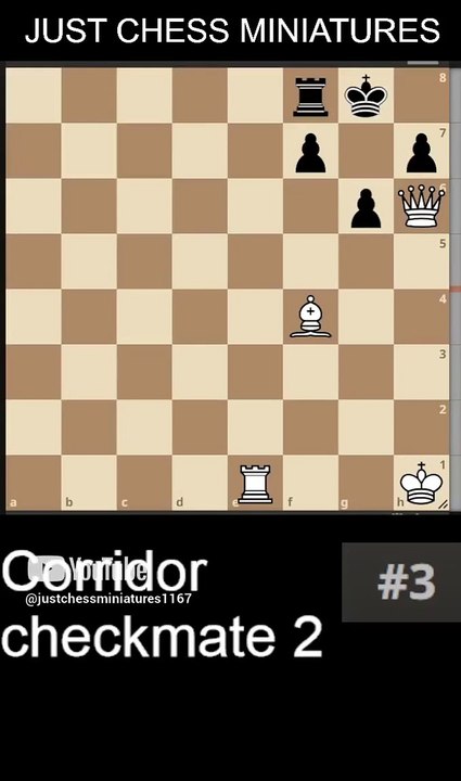 NN vs NN. Corridor checkmate 2 #chess