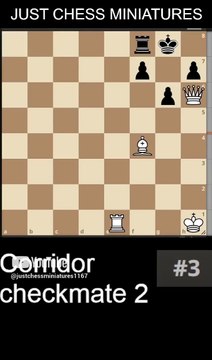 NN vs NN. Corridor checkmate 2 #chess