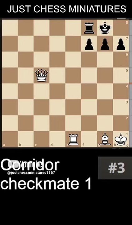 NN vs NN. Corridor checkmate 1 #chess