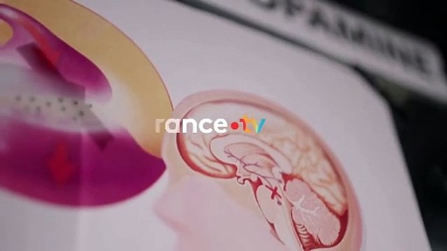 Enquête de santé - Bande annonce