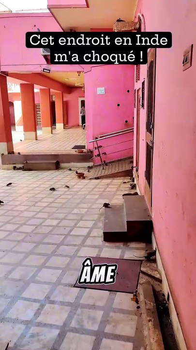 Cet endroit en Inde m'a choqué !
