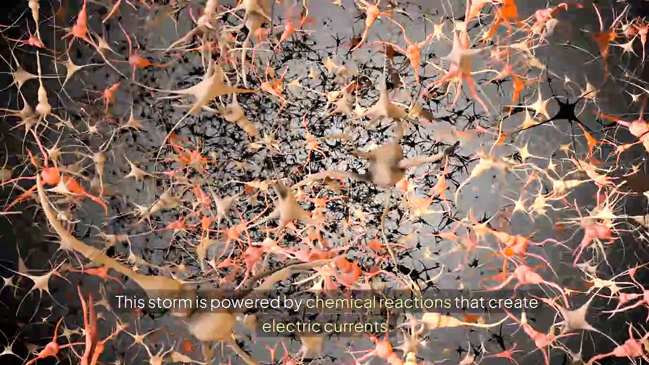 How do Nerves work