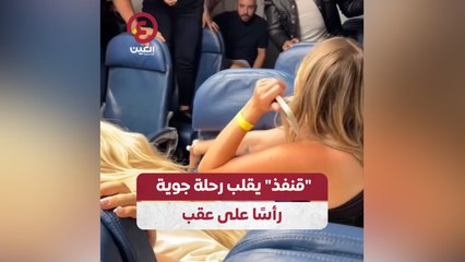 "قنفذ" يقلب رحلة جوية رأسًا على عقب