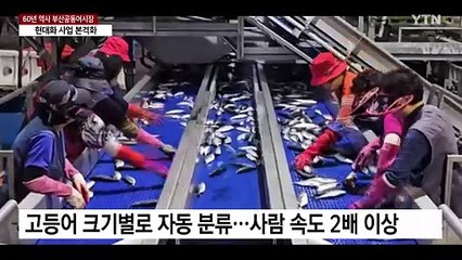 60년 역사 부산공동어시장...현대화 사업 본격화 / YTN