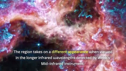 4K James Webb Telescope's Amazing Tarantula Nebula