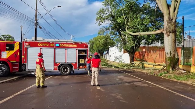 Corpo de Bombeiros é mobilizado para remover galhos que interditaram na Rua Uruguai