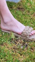 Botanical bliss! Freshy crafts that can be made with plants!