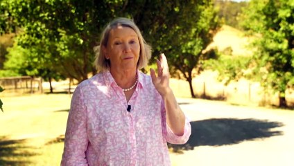 Environmental officers search for Tasmanian devil affected by facial tumour disease, highlighting ongoing threat to species