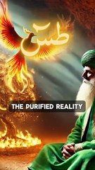 Traversing The Highest Divine Portals - The Muhammadan Reality