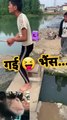 😲🤓 कैसे गई भैंस पानी में 🤣  #funny #shorts #funnyshort #comedyshorts #shortsvideo funny video comedy videos shorts funny shorts viral shorts funny comedy videos