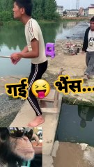 😲🤓 कैसे गई भैंस पानी में 🤣  #funny #shorts #funnyshort #comedyshorts #shortsvideo funny video comedy videos shorts funny shorts viral shorts funny comedy videos